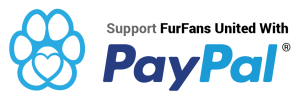 PayPal Bumper